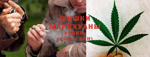 СК Пересвет