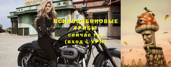 соль ск Алзамай